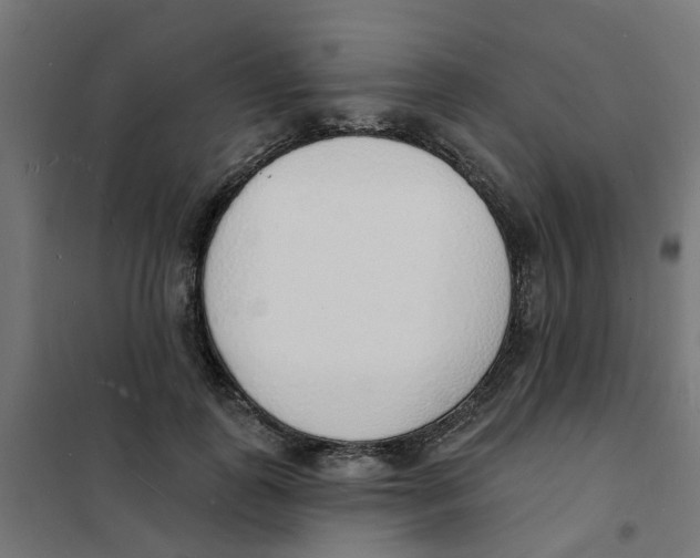 X0000101690747200808071134