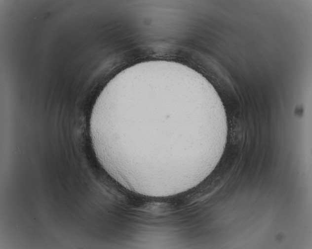 X0000101690748200808071134