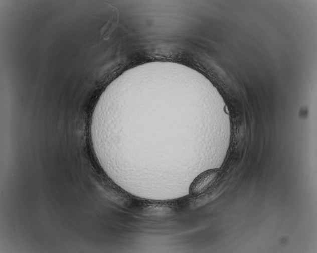 X0000101690749200808071134