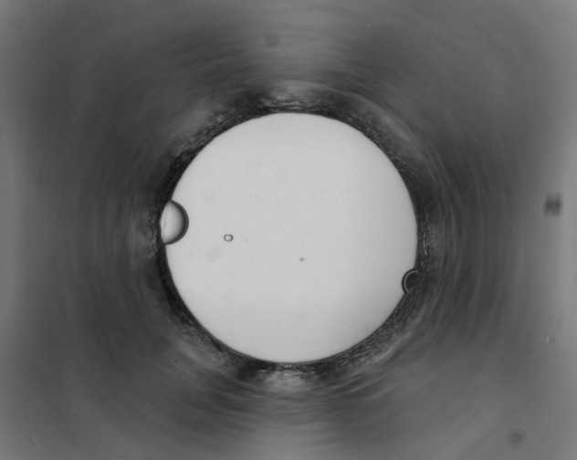 X0000101690751200808071134