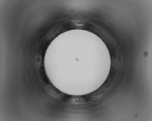 X0000101690752200808071134