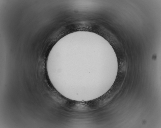 X0000101690753200808071134