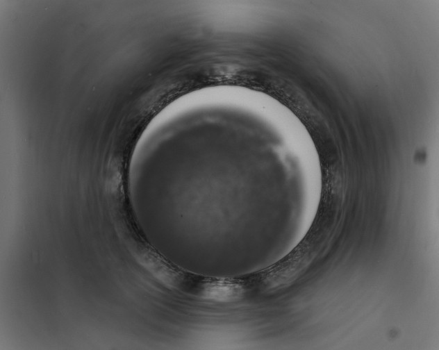 X0000101690754200808071134