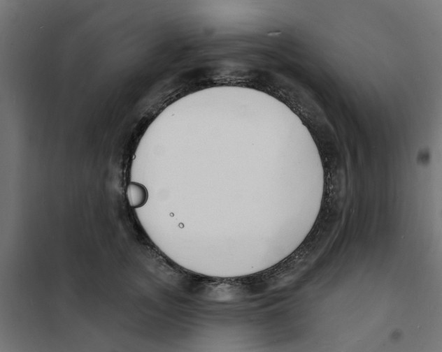 X0000101690755200808071134