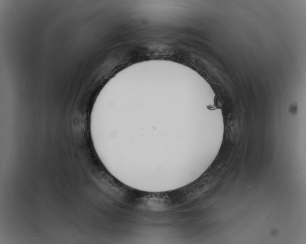 X0000101690756200808071134