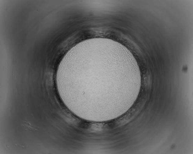 X0000101690757200808071134