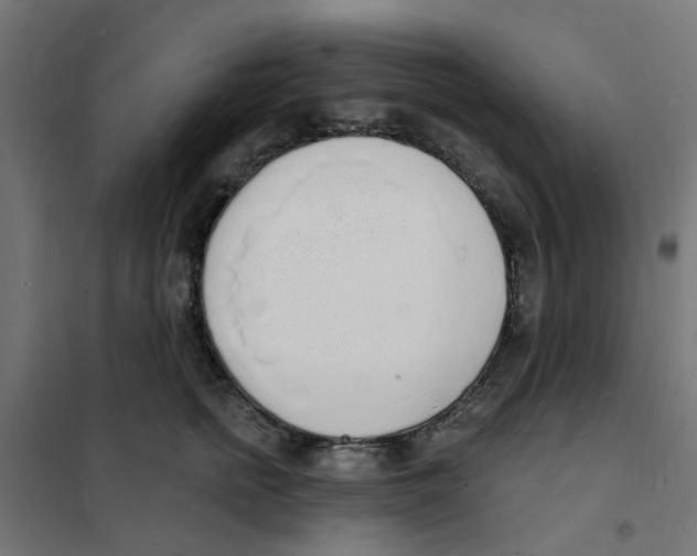 X0000101690758200808071134