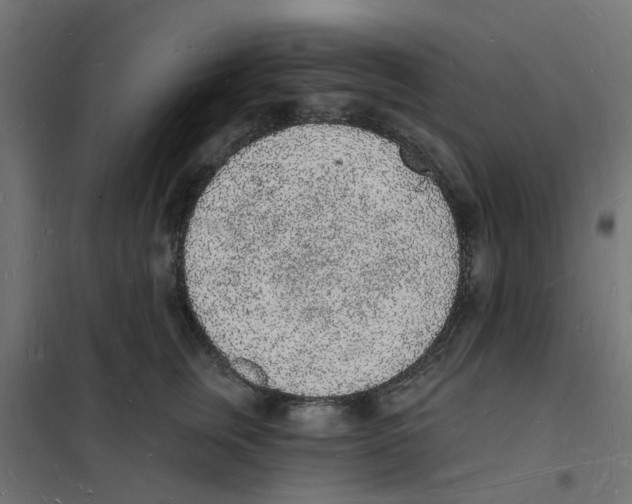 X0000101690759200808071134