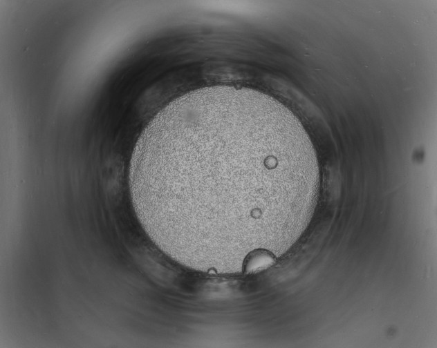 X0000101690760200808071134