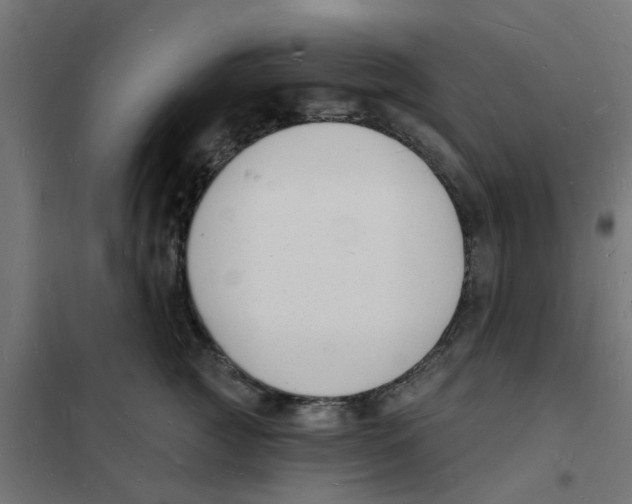 X0000101690761200808071134