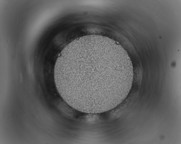 X0000101690762200808071134