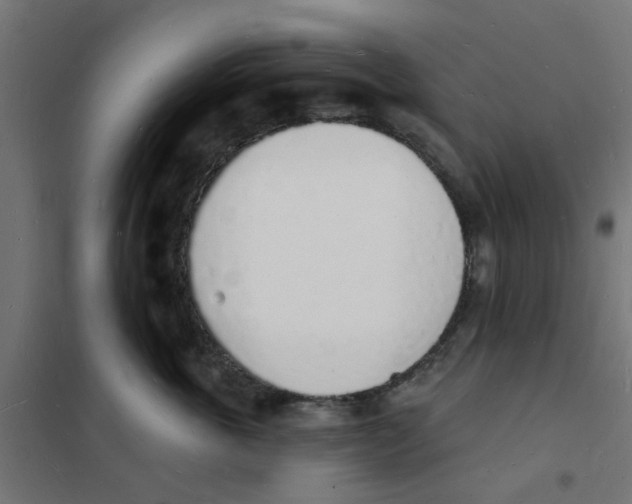 X0000101690763200808071134