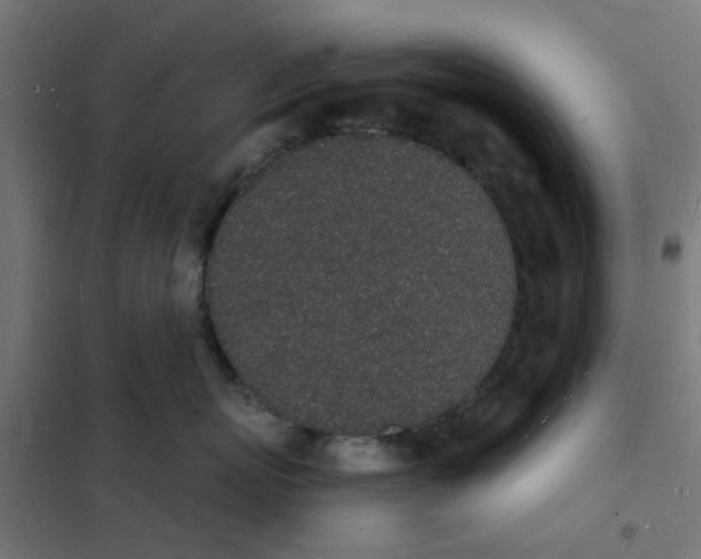 X0000101690767200808071134