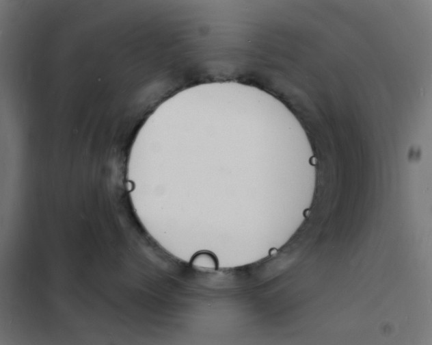 X0000101690768200808071134