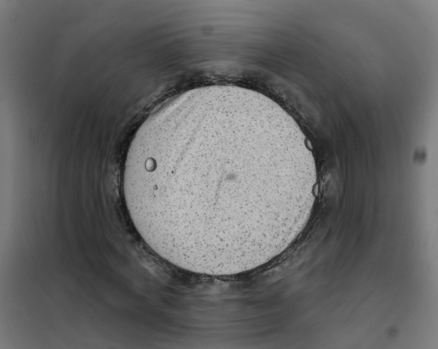 X0000101690772200808071133