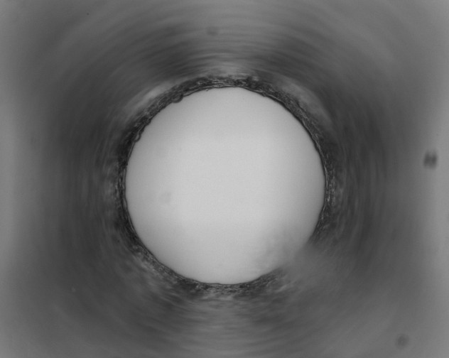 X0000101690773200808071133