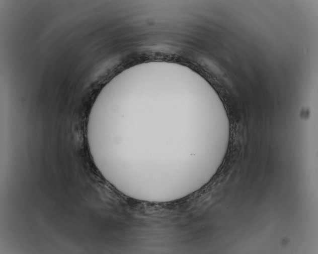 X0000101690774200808071133