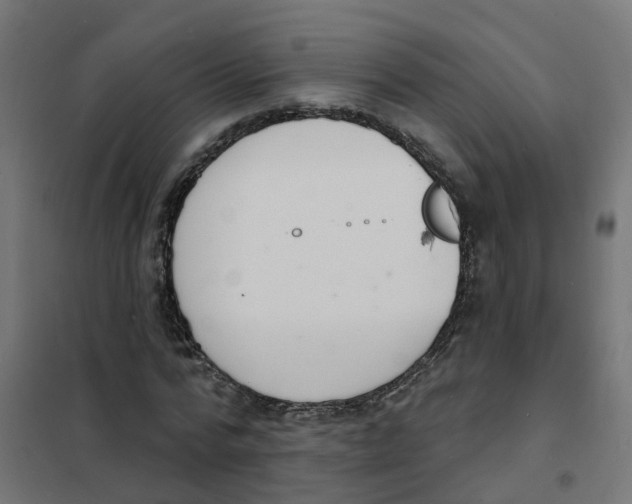 X0000101690776200808071133