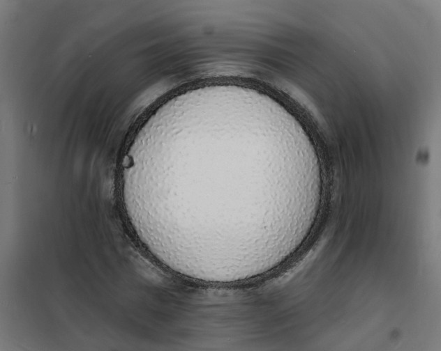 X0000101690777200808071133