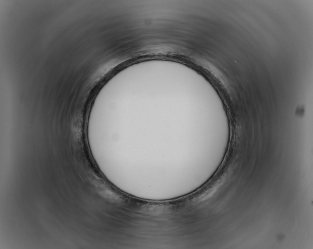 X0000101690778200808071133