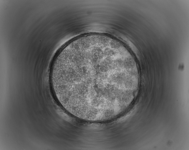 X0000101690779200808071133