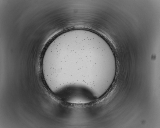 X0000101690782200808071133