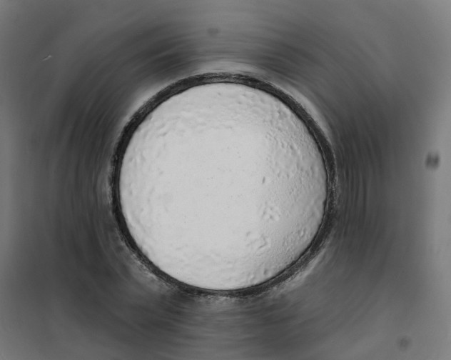 X0000101690783200808071133