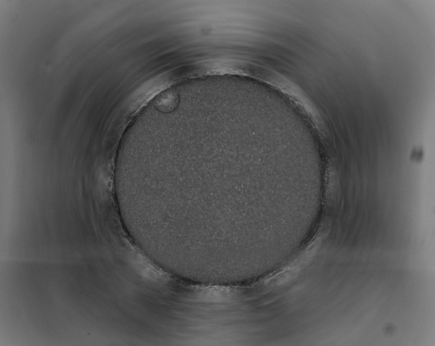 X0000101690785200808071133