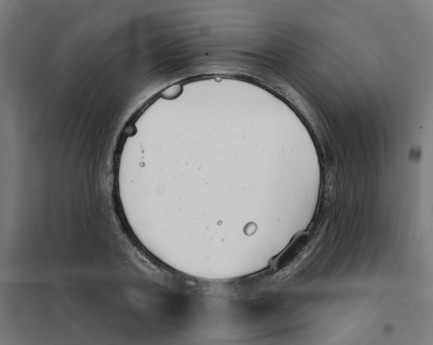 X0000101690787200808071133