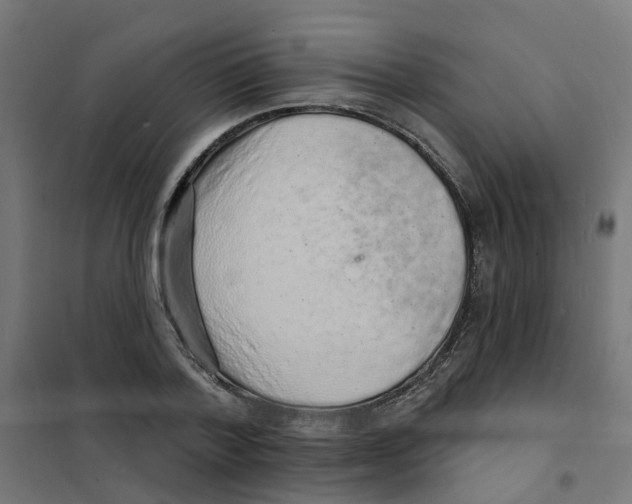 X0000101690788200808071133