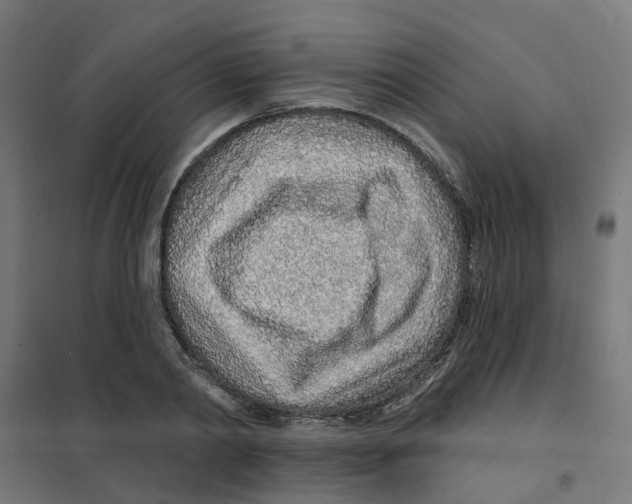 X0000101690790200808071133