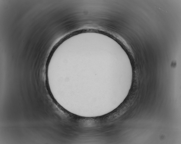 X0000101690791200808071133