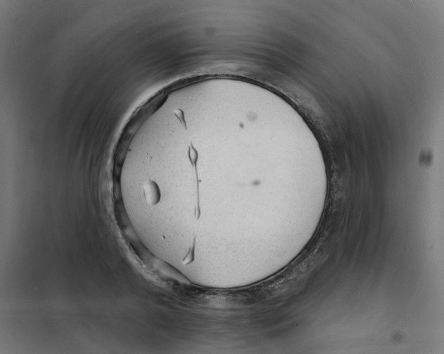 X0000101690792200808071133