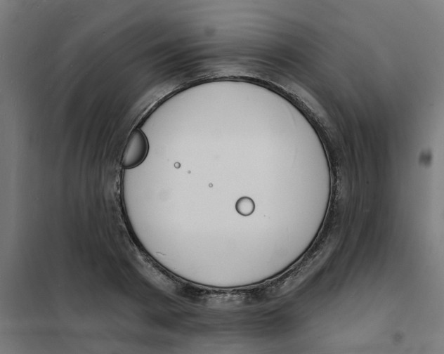 X0000101690793200808071133