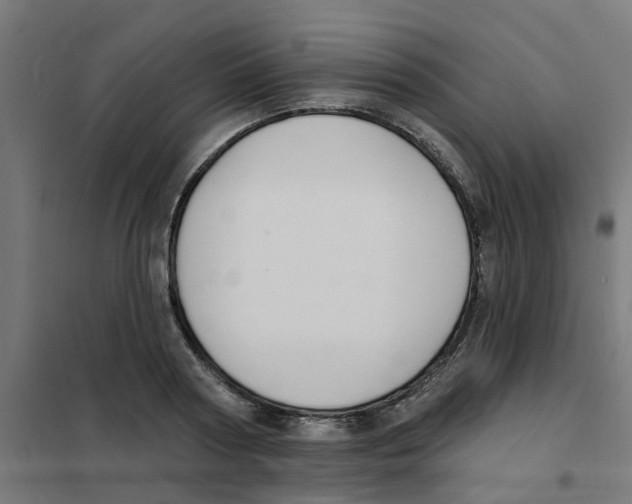 X0000101690794200808071133