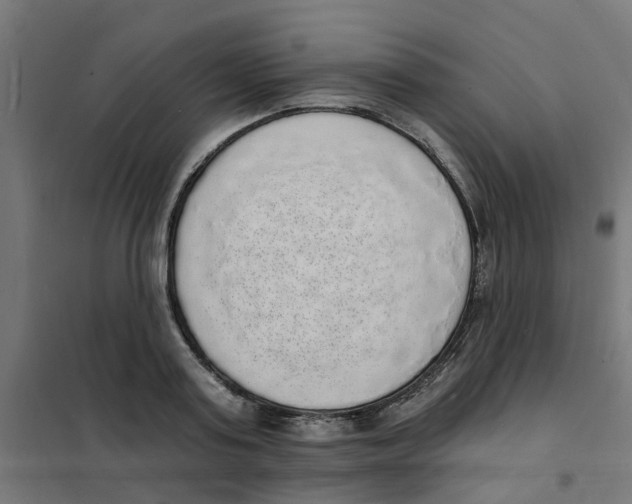 X0000101690795200808071133