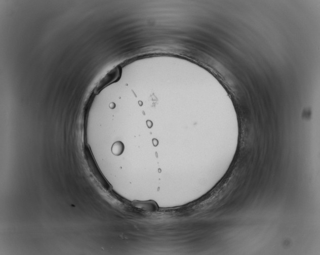 X0000101690796200808071133