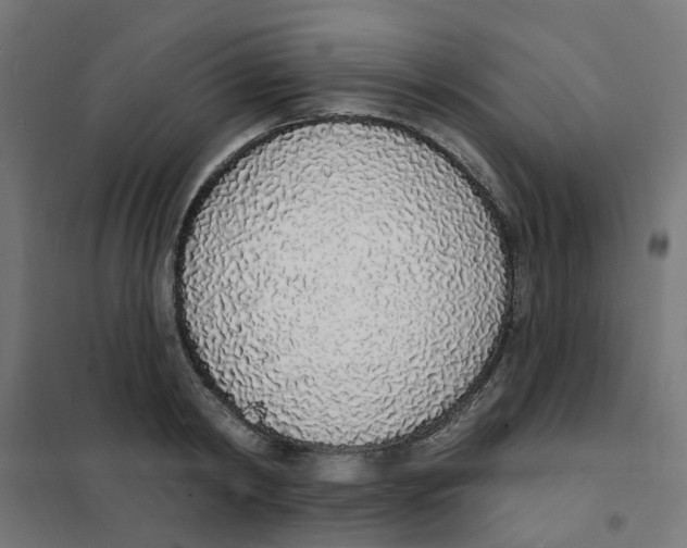 X0000101690798200808071133