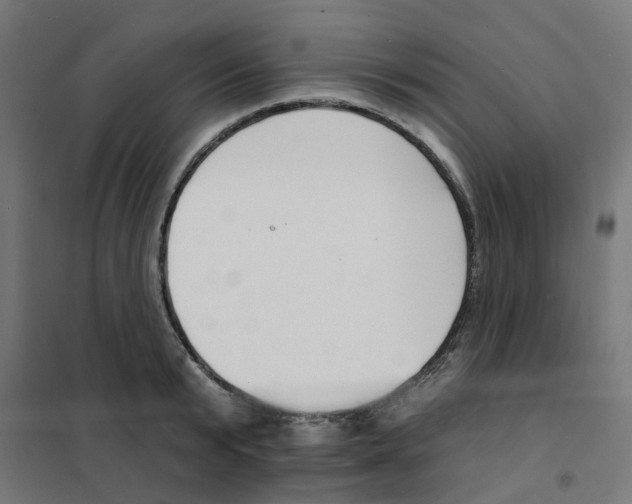 X0000101690799200808071133