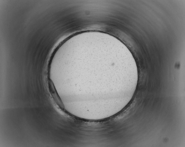 X0000101690800200808071133