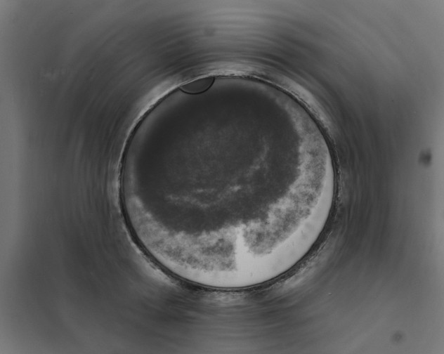 X0000101690802200808071133