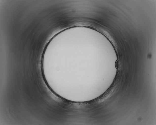 X0000101690803200808071133