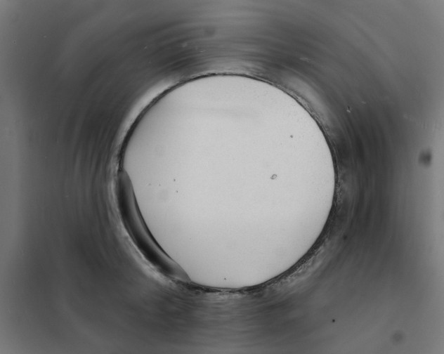 X0000101690804200808071133