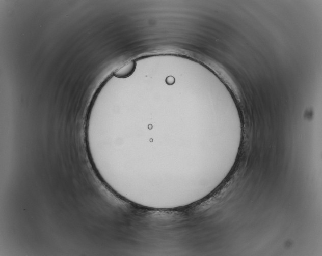 X0000101690805200808071133