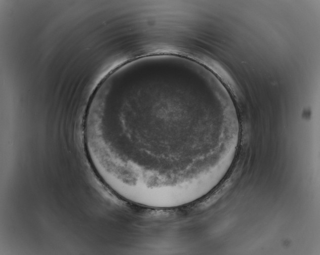 X0000101690806200808071133