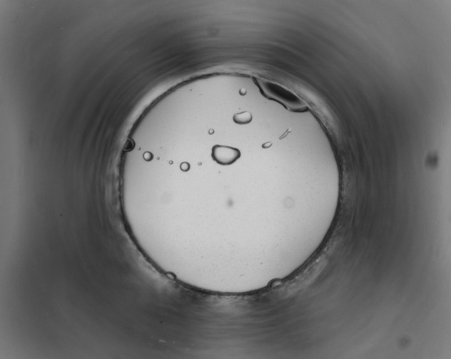 X0000101690808200808071133