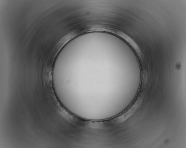 X0000101690809200808071133