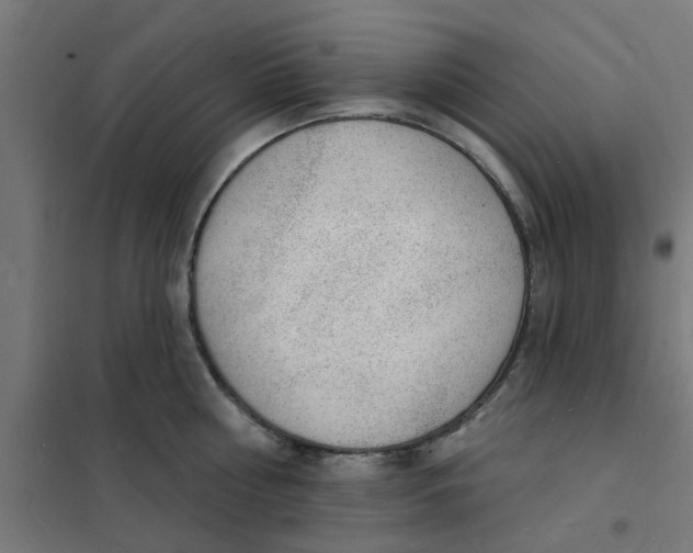 X0000101690810200808071133