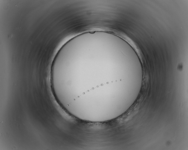 X0000101690811200808071133