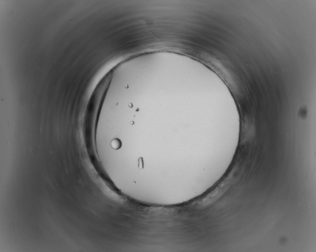 X0000101690812200808071133